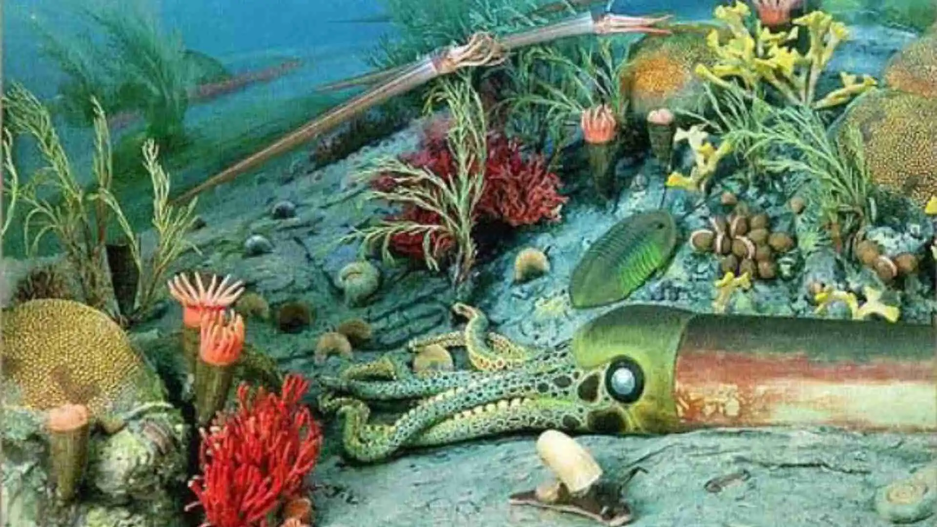 Fauna del Ordovícico