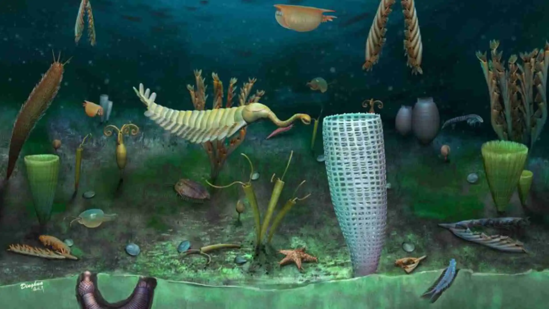 Fauna del Ordovícico