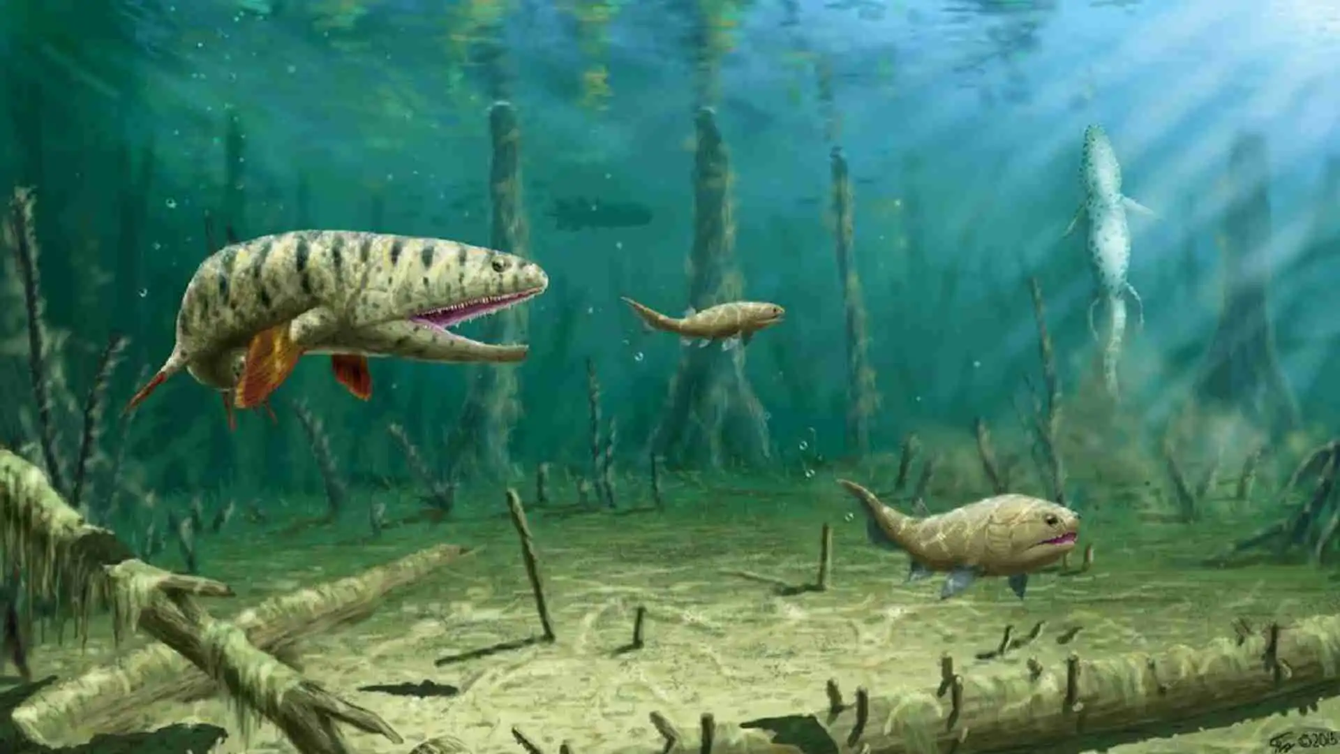 Fauna del Silúrico