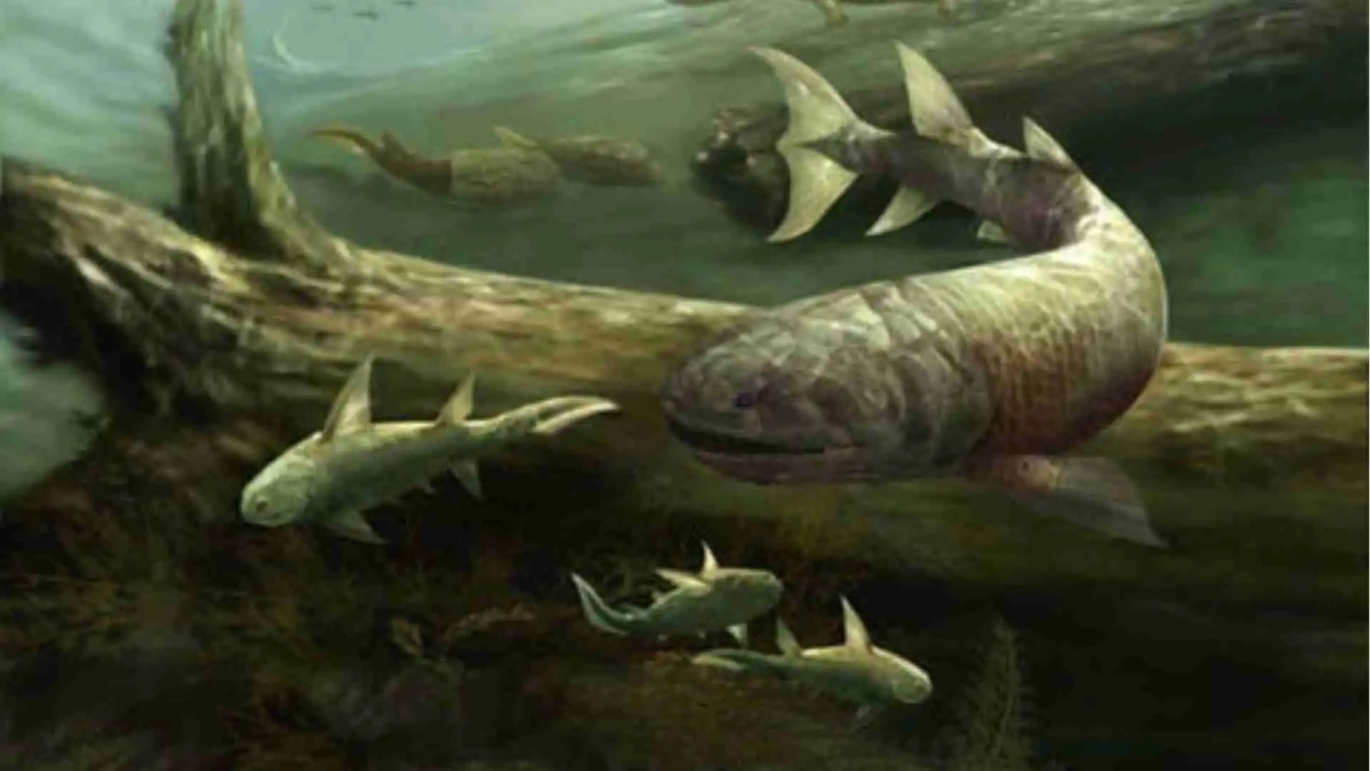 Fauna del Silúrico