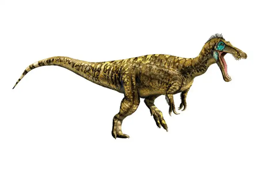 Baryonyx 1986 Principales Hallazgos