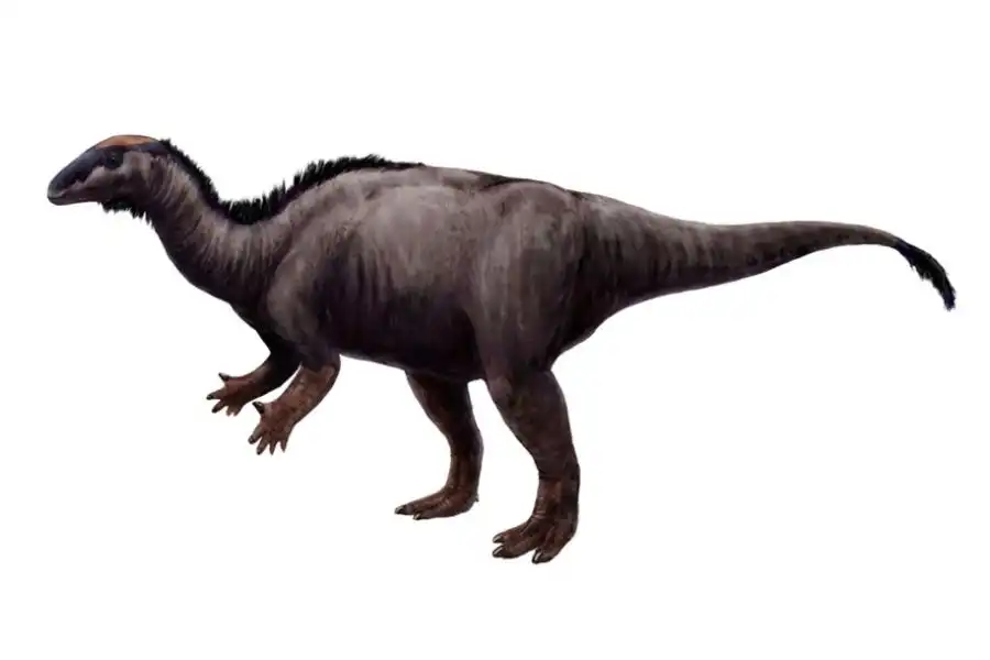 Camptosaurus 1885