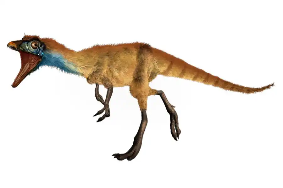 Compsognathus Recordsaurios