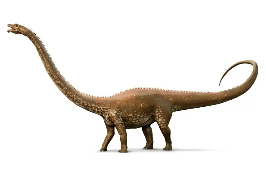 Diplodocus Recordsaurios
