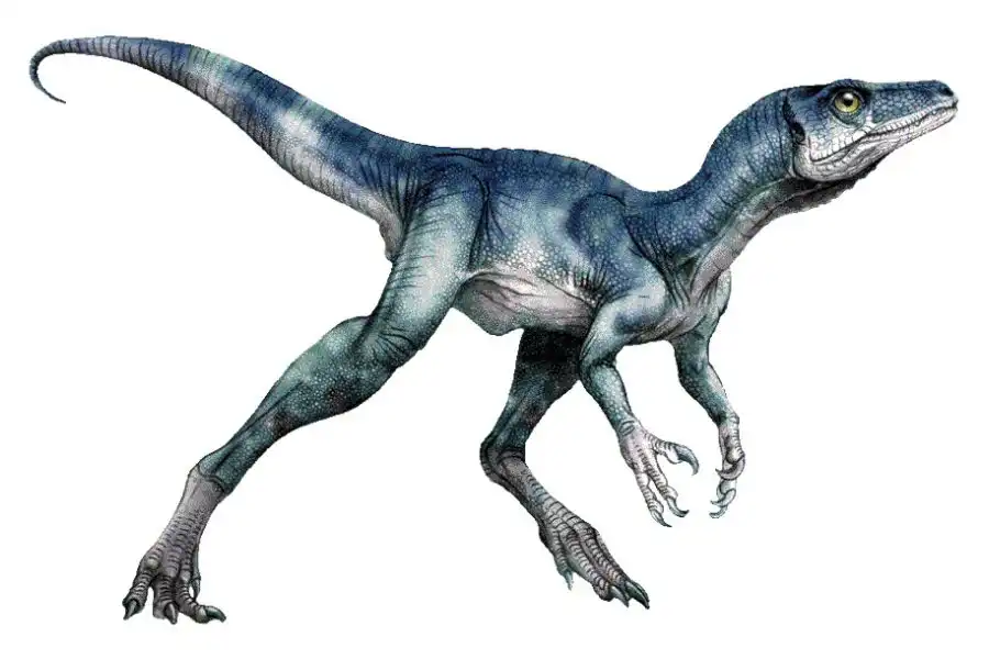 Eoraptor Recordsaurios