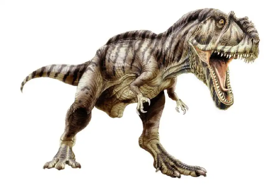 Giganotosaurus