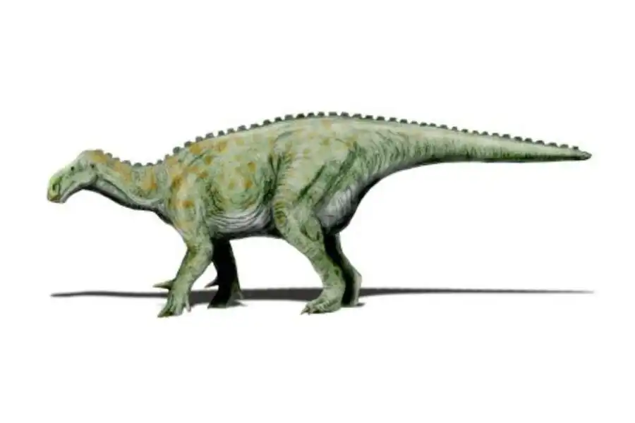 Iguanodon 1825