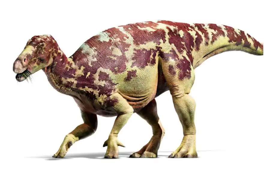 Iguanodon