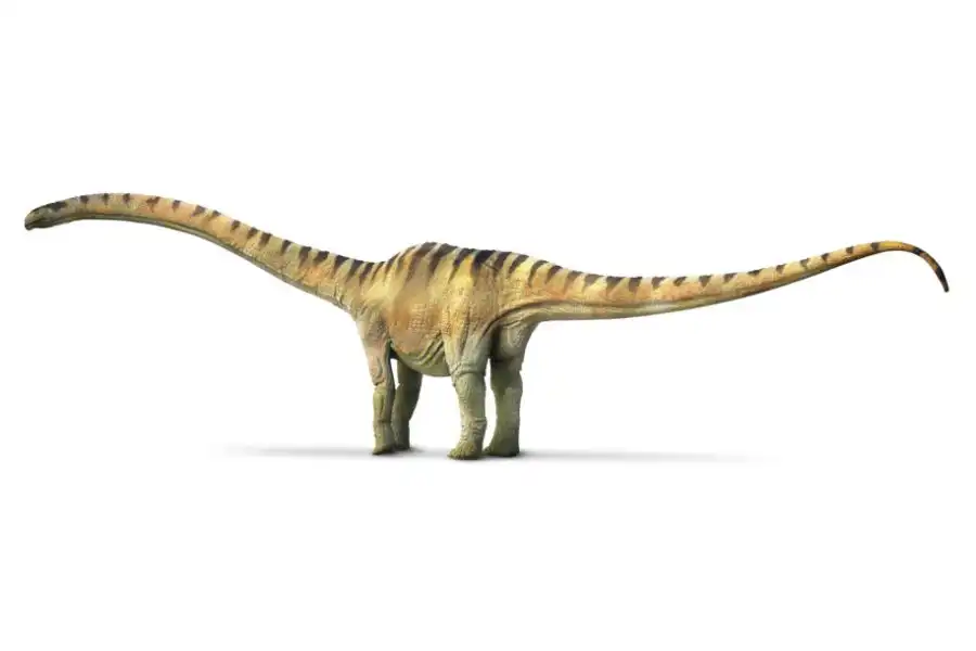 Mamenchisaurus Recordsaurios