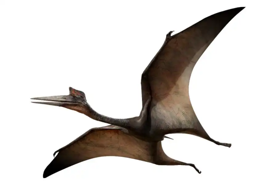 Quetzalcoatlus Recordsaurios