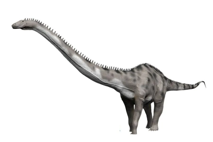 Seismosaurus Recordsaurios
