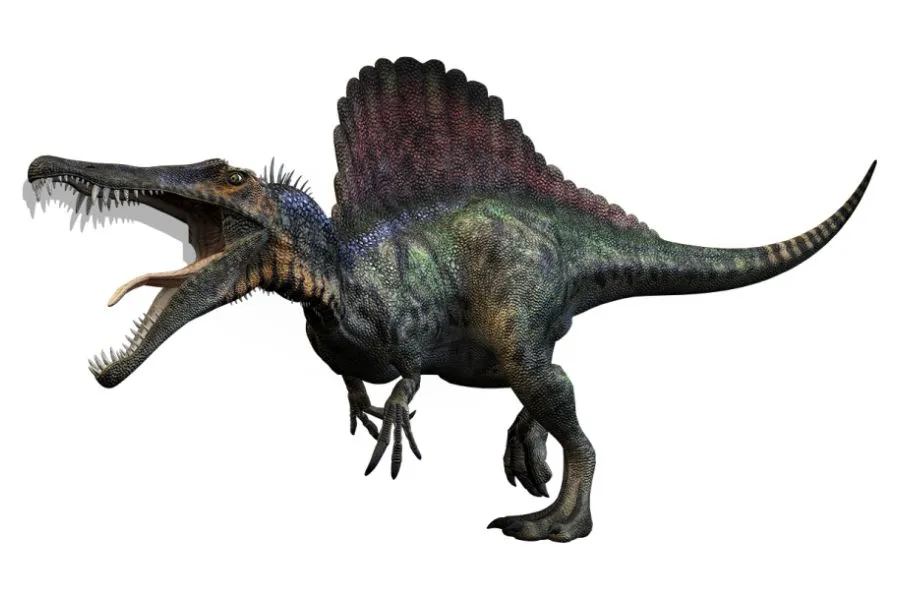 Spinosaurus