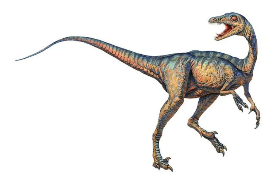 Troodon
