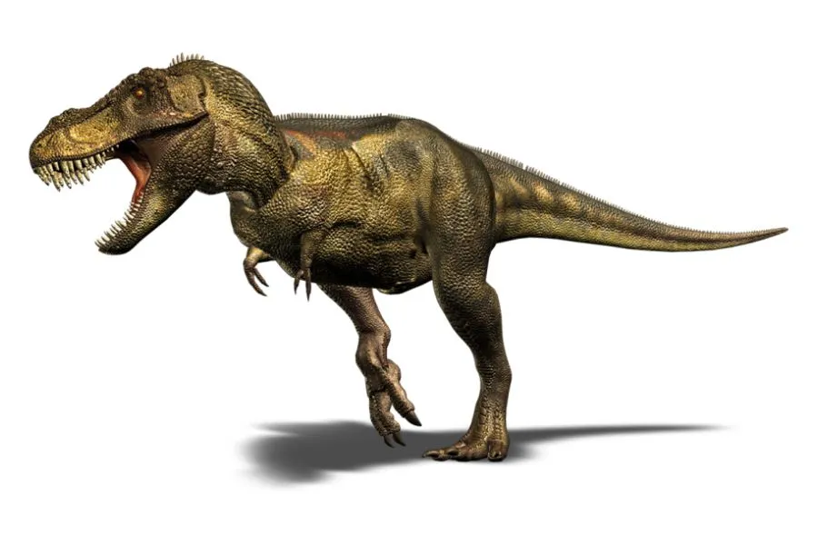 Tyrannosaurus Rex