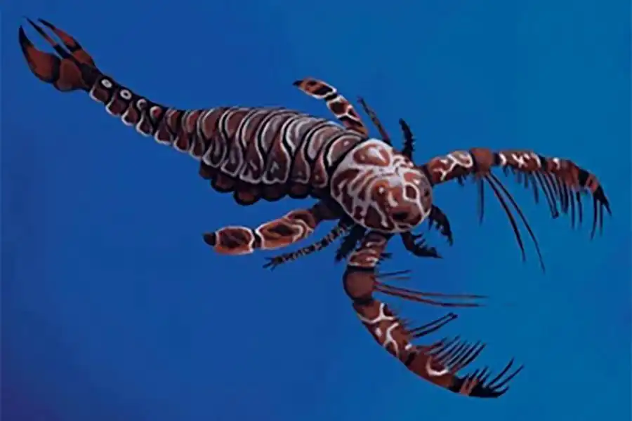 Megalograptus