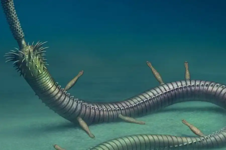 Palaeoscolecida