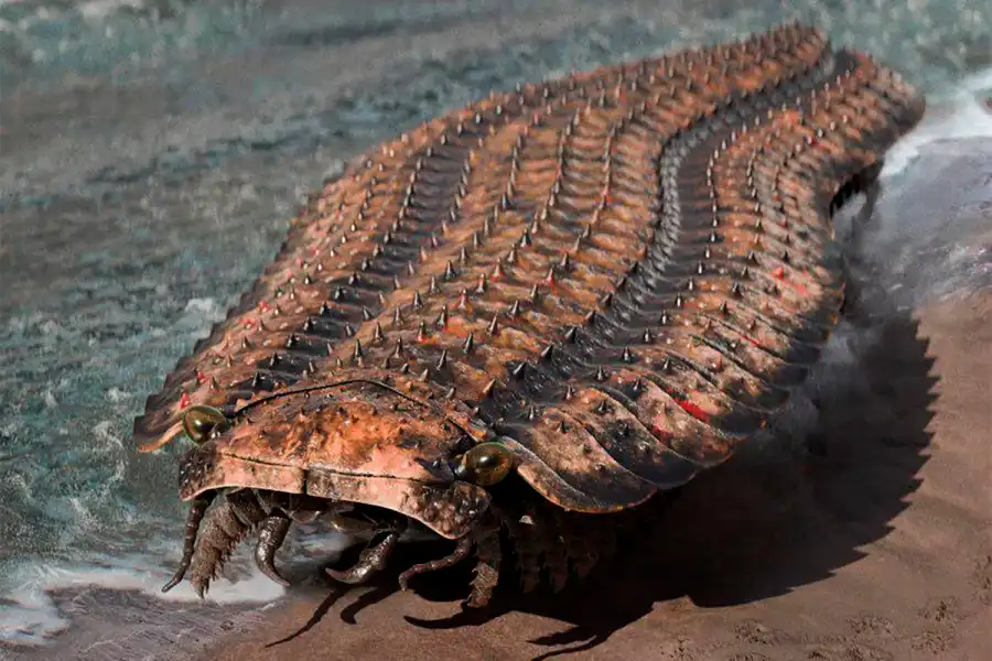Arthropleuridea