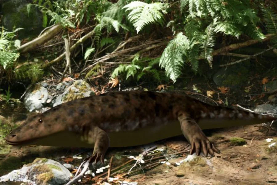 Eryops