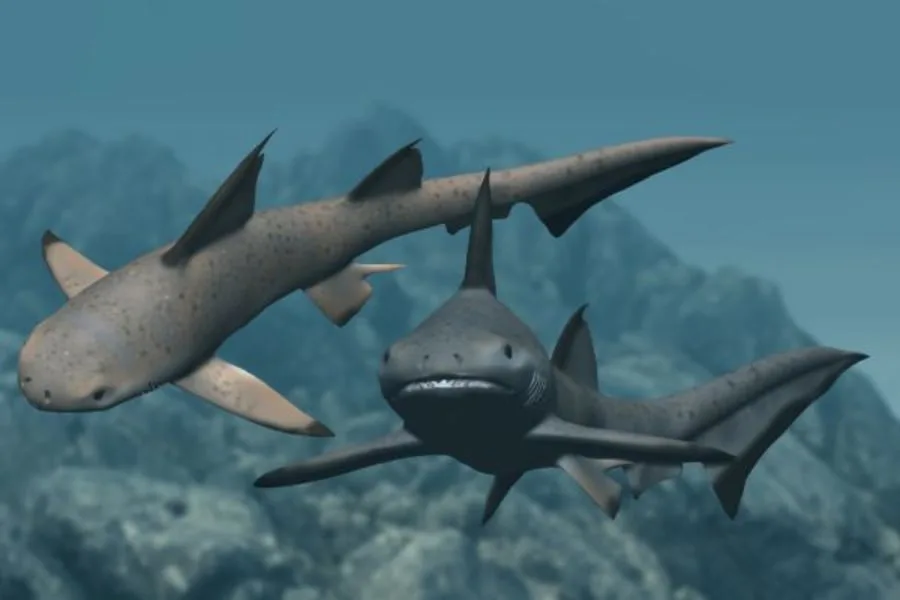 Hybodus